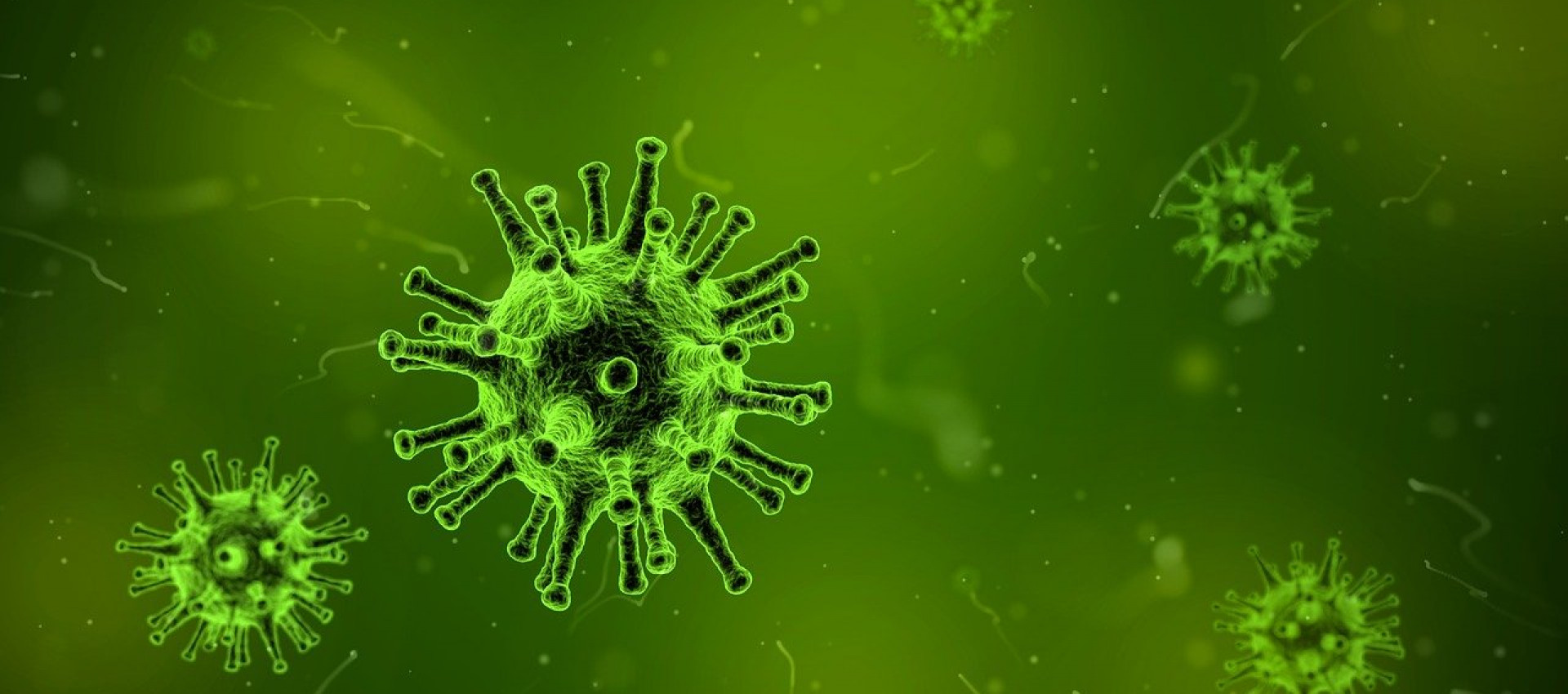 Corona-Virus - wichtigste Informationen für Sie zusammengestellt!